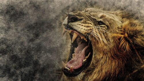 Lion, Art, Grin, Muzzle Free Wallpapers Download For Desktop
