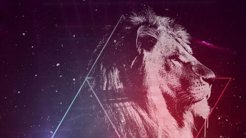 Lion Art, Starry, Sky Free Wallpapers Download For Desktop