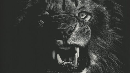 Lion, Grin, Art Free Wallpapers Download For PC