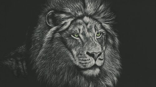 Lion, Head, Art Free Wallpapers Download For PC