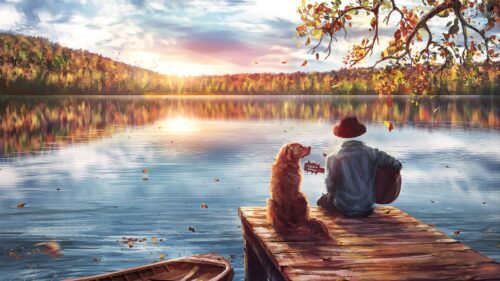 Man, Dog, Hat Free Wallpapers Download