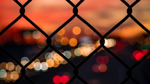Mesh, Lights, Bokeh 500+ Wallpaper ideas For Today
