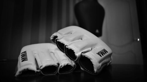 Mixed, Martial, Arts, MMA, Wrestling 500+ Wallpaper ideas For Today