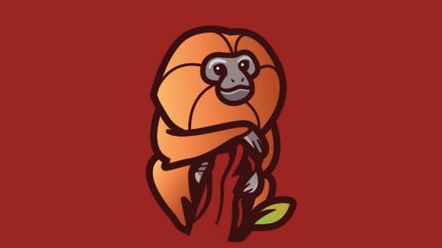 Monkey, Branch, Art 500+ Wallpaper ideas For Today