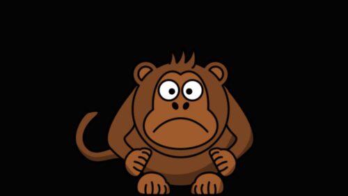 Monkey, Funny, Cool 500+ Wallpaper ideas For Today
