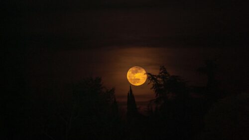 Moon, Full Moon, Night Download Free HD Wallpapers