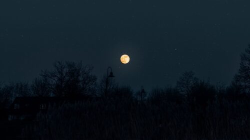 Moon, Full Moon, Starry, Sky Download Free HD Wallpapers