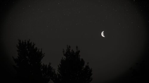 Moon, Night, Sky Download Free HD Wallpapers