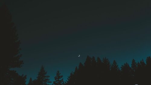 Moon, Sky, Night Download Free HD Wallpapers