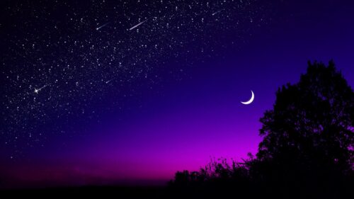 Moon, Tree, Starry, Sky Download Free HD Wallpapers