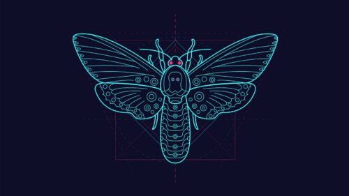 Moth, Pattern, Art Download Free HD Wallpapers