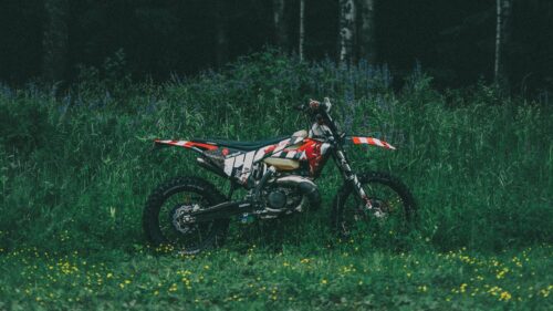 Motorcycle, Bike, Forest Download Free HD Wallpapers For Desktop