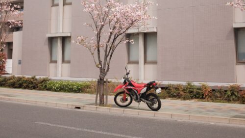 Motorcycle, Bike, Red Download Free HD Wallpapers For Desktop