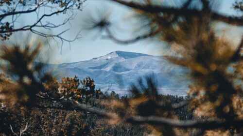 Mountain, Trees, Branches Download Free HD Wallpapers