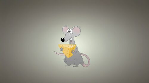 Mouse, Background, Cheese, Animal Free HD Wallpapers Download