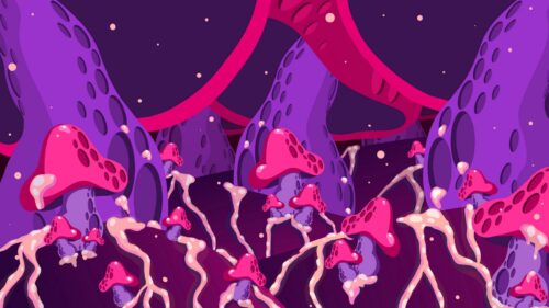 Mushrooms, Abstraction, Art Desktop Wallpapers Free Download