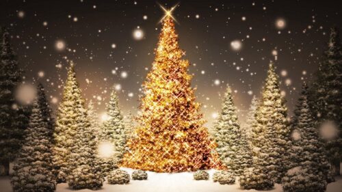 New Year, Christmas, Trees Wallpapers Free Download