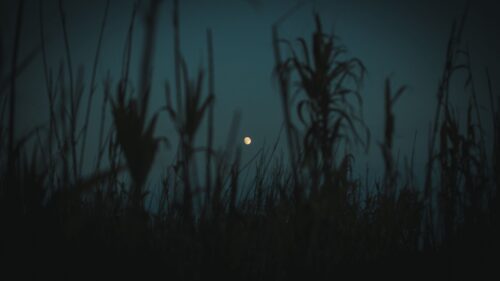 Night, Moon, Twilight Wallpapers Free Download