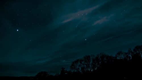 Night, Sky, Stars, Trees Wallpapers Free Download