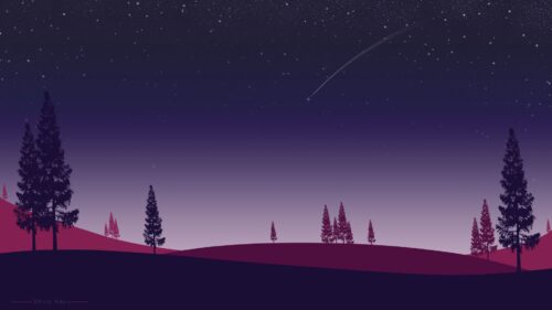 Night, Spruce, Starfall Wallpapers Free Download