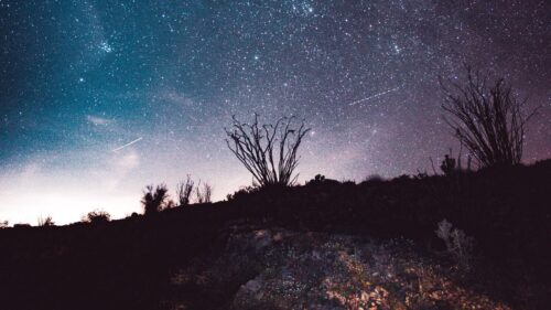 Night, Starry, Sky, Stars Wallpapers Free Download