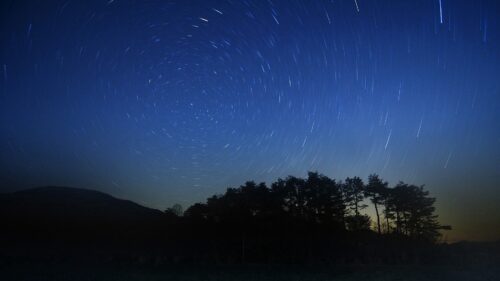 Night Stars, Beautiful, Grass, Trees Wallpapers Free Download
