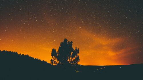Night, Stars, Sky, Tree Wallpapers Free Download