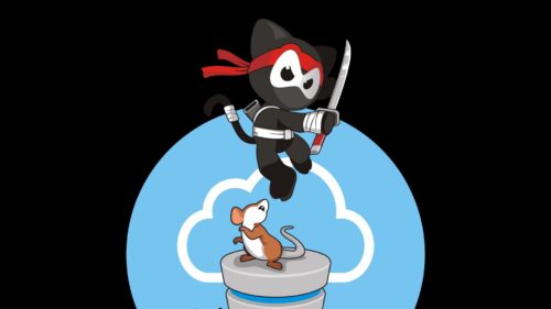 Ninja, Cat, Mouse Wallpapers Free Download