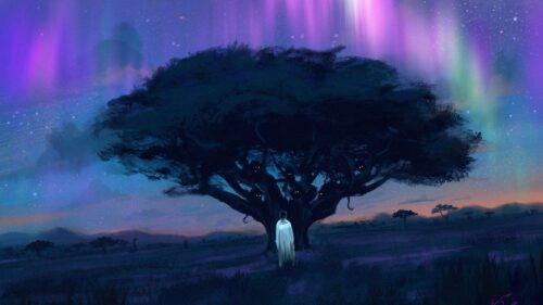 Northern Lights, Tree, Silhouette Wallpapers Free Download