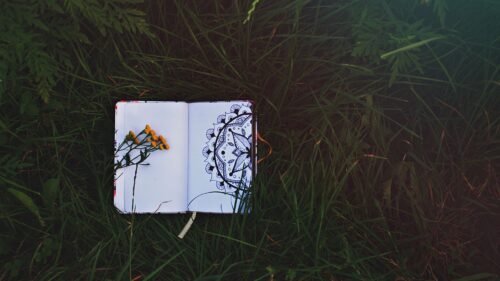Notepad, Patterns, Flowers Wallpapers Free Download