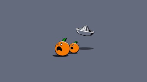 Oranges, Paper, Emotions, Chase Wallpapers Download For Your Device