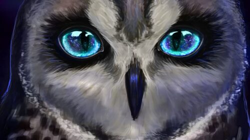Owl, Bird, Art Wallpapers Download For Your Device (3)
