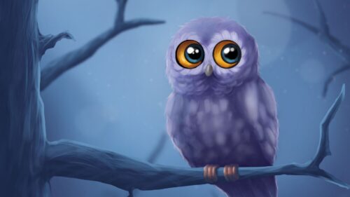 Owl, Bird, Branch Wallpapers Download For Your Device