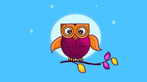 Owl, Branch, Moon Wallpapers Download For Your Device