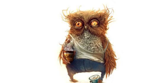 Owl, Coffee, Alarm, Clock Wallpapers Download For Your Device