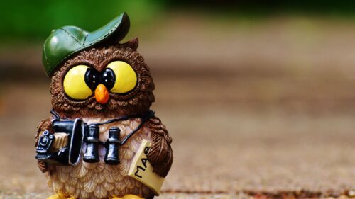 Owl, Figurine, Cap, Binoculars Wallpapers Download For Your Device