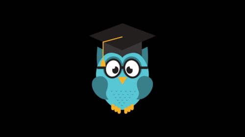 Owl, Hat, Student Wallpapers Download For Your Device