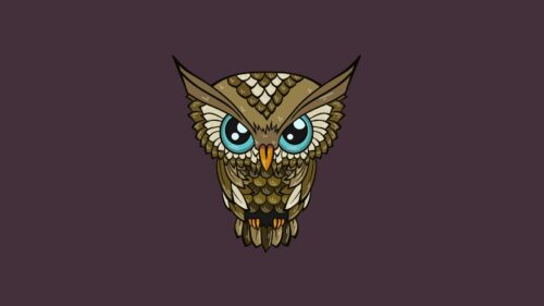 Owl, Minimalism, Art Wallpapers Download For Your Device
