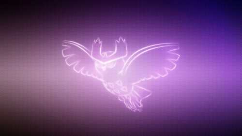 Owl, Pokemon, Noctowl Wallpapers Download For Your Device