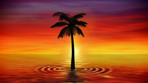 Palm, Art, Twilight, Sea Wallpapers Download For Your Desktop