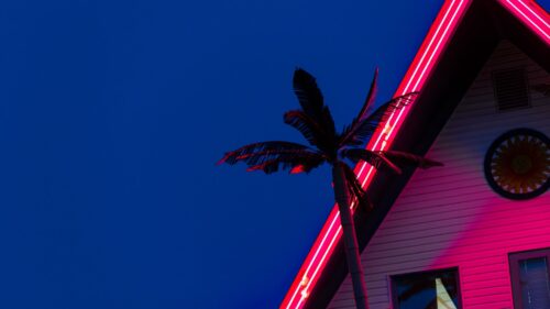 Palm, Roof, Neon Wallpapers Download For Your Desktop