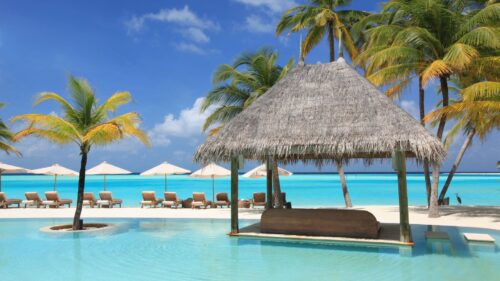 Palm, Trees, Vacation, Sun, Beds Wallpapers Download For Your Desktop