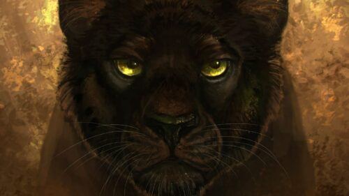 Panther, Black, Predator HD Wallpapers Free Download