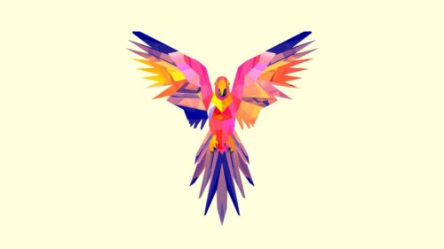 Parrot Vector, Drawing, Bright, Color HD Wallpapers Free Download
