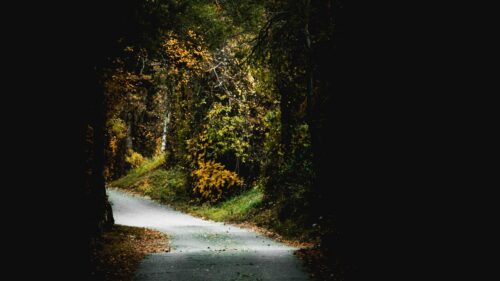 Passage, Arch, Trees HD Wallpapers Free Download