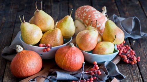 Pears, Squash, Mountain, Ash, Plate HD Wallpapers Free Download