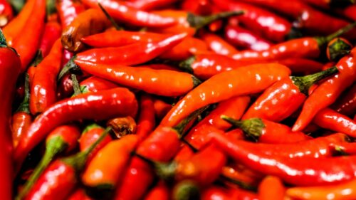 Pepper, Red, Vegetable HD Wallpapers Free Download
