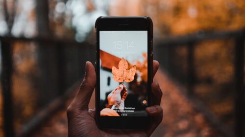 Phone, Sheet, Autumn HD Wallpapers Free Download