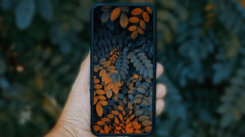 Phone, Smartphone, Hand HD Wallpapers Free Download (3)