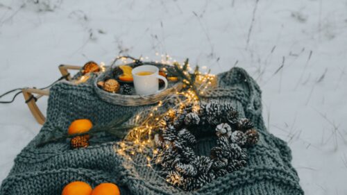 Picnic, Winter, Christmas HD Wallpapers Free Download